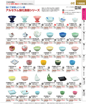 1666ページ