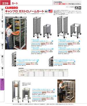 239ページ