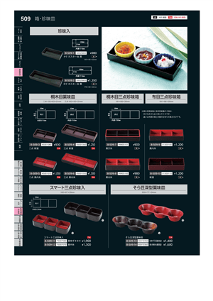 509ページ