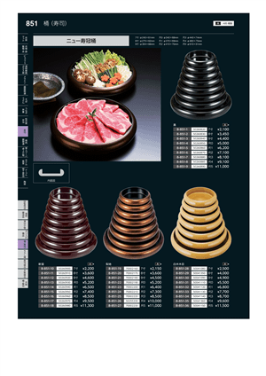 851ページ